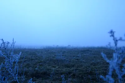 DSC_1032 (Large).JPG